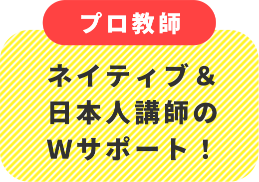 ネイディブ＆日本人講師のWサポート